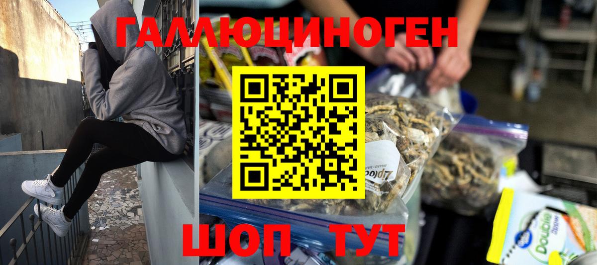 Псилоцибиновые грибы ЛСД Вологда