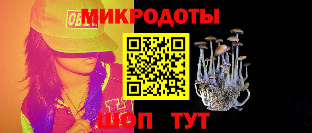 Вологда  Псилоцибиновые грибы Psilocybe  Вход с VPN 